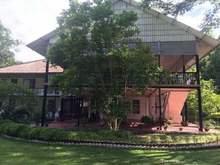 Cinnamora Tea Estate-3